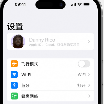 瑶海appleID维修服务iPhone设置中Apple ID显示为灰色无法使用