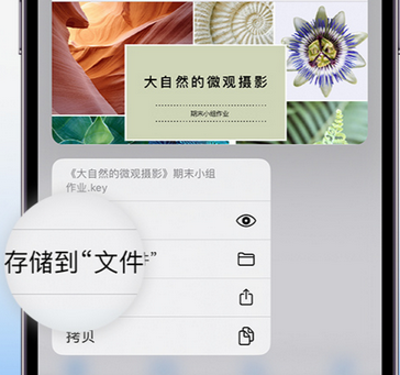 瑶海apple维修中心分享iPhone文件应用中存储和找到下载文件