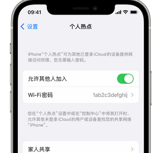 瑶海apple服务站点分享iPhone上个人热点丢失了怎么办 