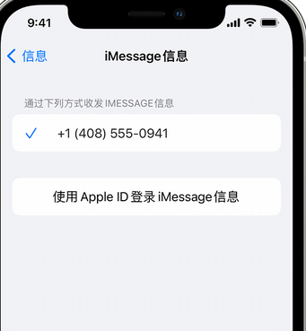 瑶海apple维修iPhone上无法正常发送iMessage信息 