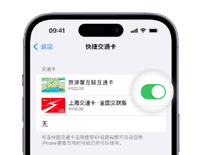 瑶海apple维修点分享iPhone上更换Apple Pay快捷交通卡手绘卡面 