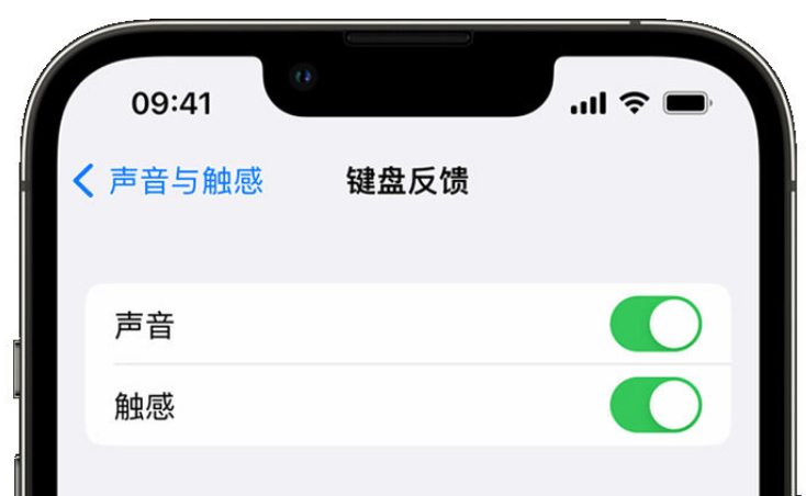 瑶海苹果手机维修分享iPhone 14触感键盘使用方法 