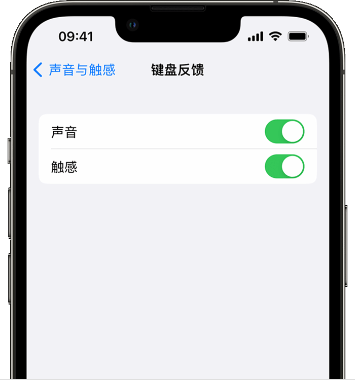 瑶海苹果14维修店分享如何在 iPhone 14 机型中使用触感键盘 