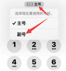 瑶海苹果14维修店分享iPhone 14 Pro Max使用副卡打电话的方法 