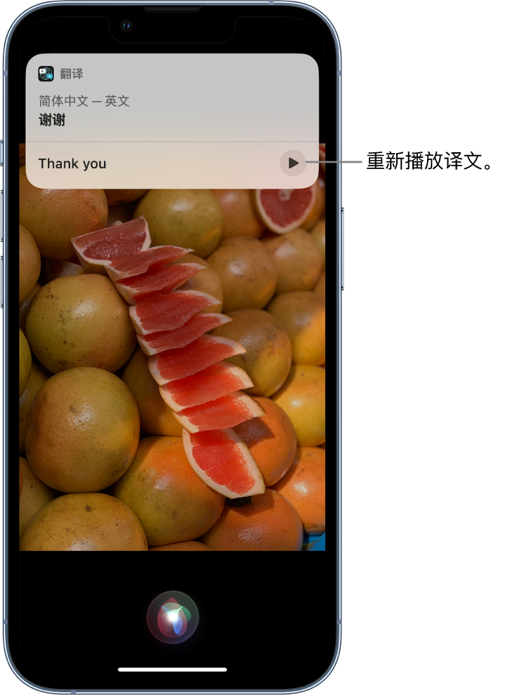 瑶海苹果14维修分享 iPhone 14 机型中使用 Siri：了解 Siri 能帮你做什么 