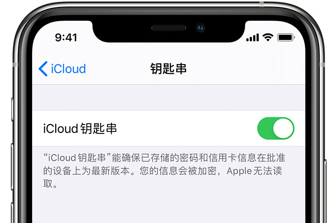 瑶海苹果手机维修分享在 iPhone 上开启 iCloud 钥匙串之后会储存哪些信息 