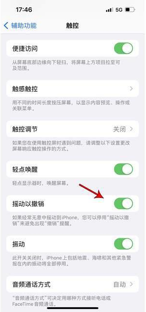 瑶海苹果手机维修分享iPhone手机如何设置摇一摇删除文字 